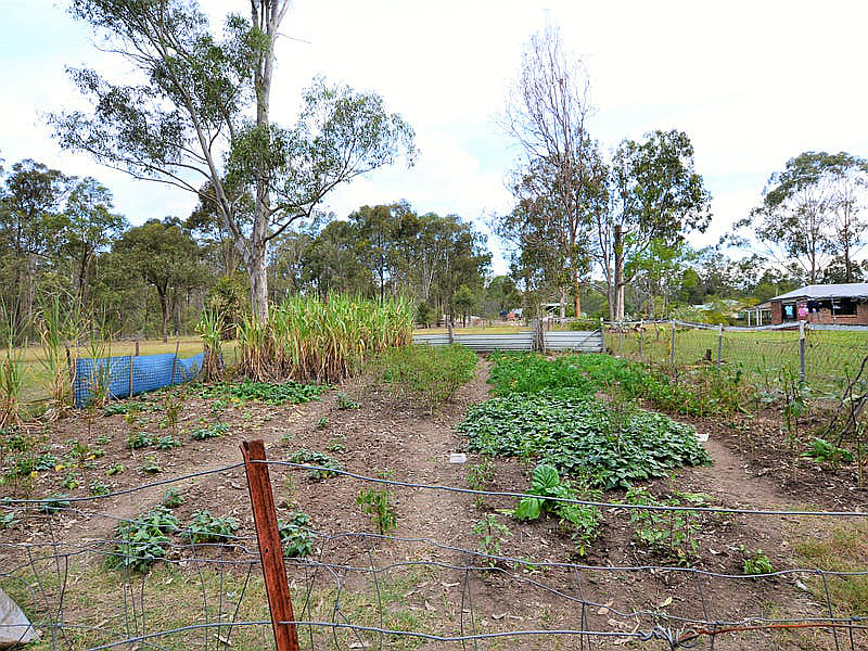 35 Violet Road, Greenbank QLD photograph